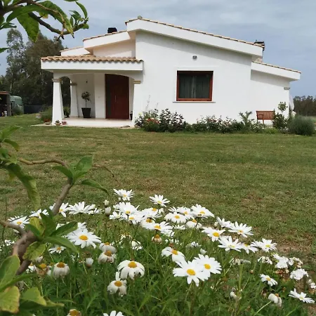 B&B Briosa-2
